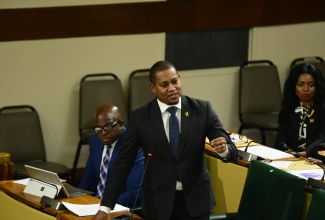 Minister of Agriculture, Fisheries and Mining, Hon. Floyd Green, gives a statement in the House of Representatives on Tuesday (December 5).

