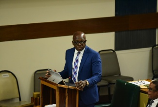 Minister of Labour and Social Security, Hon. Pearnel Charles Jr., speaking in the House of Representatives on Tuesday (December 5).