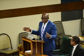 Minister of Labour and Social Security, Hon. Pearnel Charles Jr., speaks in the House of Representatives on December 5.