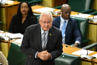 Minister of Justice, Hon. Delroy Chuck, speaks in the House of Representatives o December 19.

