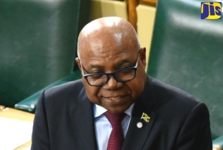 Minister of Tourism, Hon. Edmund Bartlett, speaking during a Statement in the House of Representative on Tuesday (December 12).

