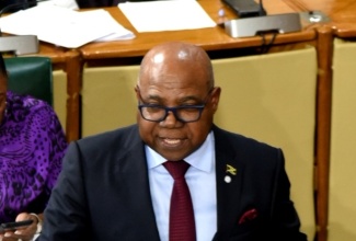 Minister of Tourism, Hon. Edmund Bartlett, makes a statement to the House of Representatives on Tuesday (December 12).


