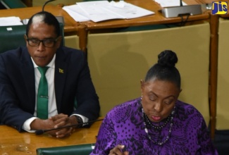 Minister of Culture, Gender, Entertainment and Sport, Hon. Olivia Grange, speaking in the House of Representatives on Tuesday (December 12).

