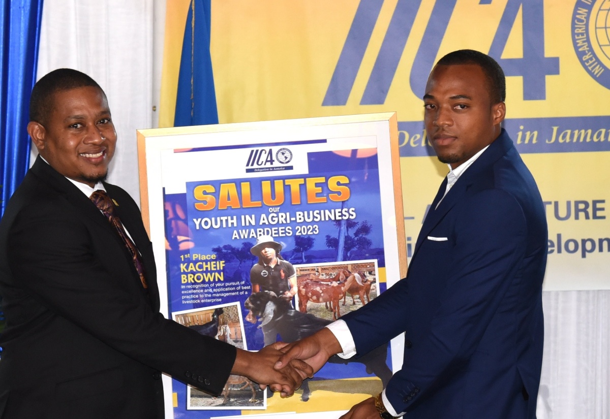Youth in Agribusiness Awarded by IICA