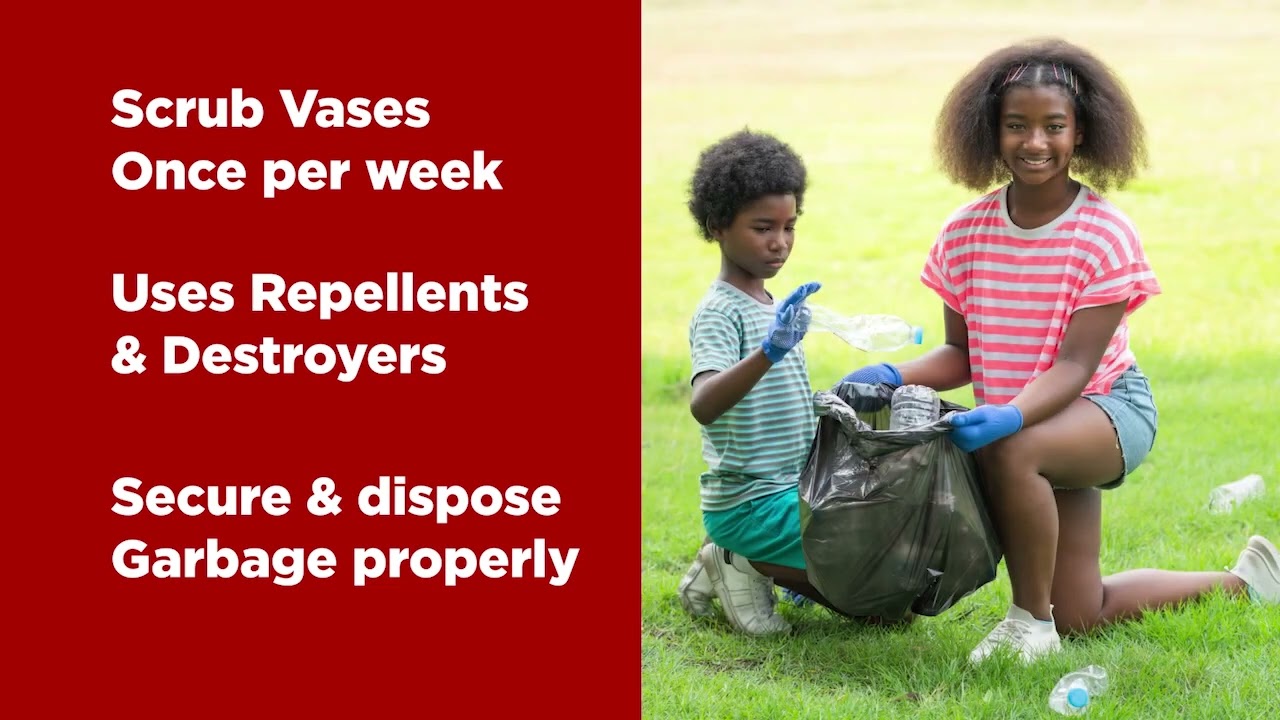 Jamaica Magazine-07.12.2023