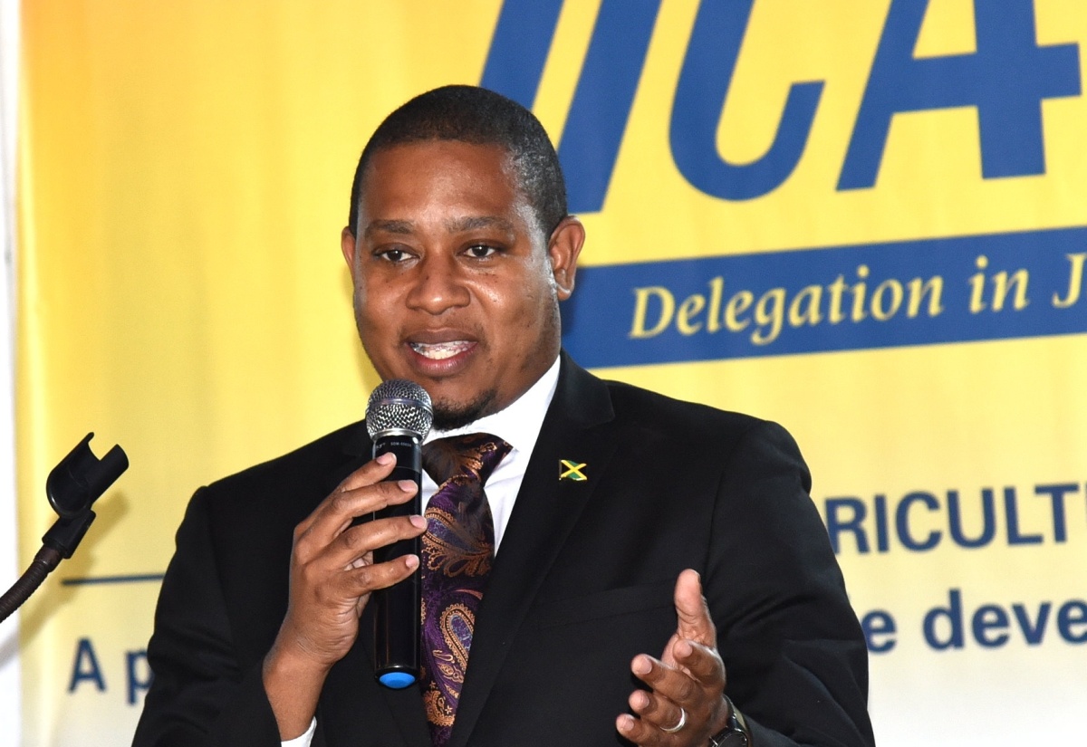 Youth in Agribusiness Awarded by IICA