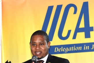 Minister of Agriculture, Fisheries and Mining, Hon. Floyd Green, addresses the Inter-American Institute for Cooperation on Agriculture (IICA) accountability seminar held on Wednesday (December 6), at the Terra Nova All-Suite Hotel in Kingston.

