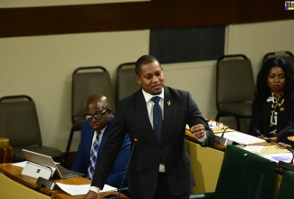 Minister of Agriculture, Fisheries and Mining, Hon. Floyd Green, speaking in the House of Representatives.