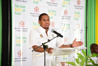 Minister of Agriculture, Fisheries and Mining, Hon Floyd Green, addressing the New Face of Food stakeholder engagement at Kendal Conference Centre in Manchester recently.

