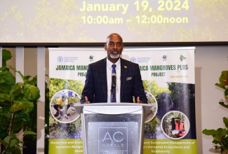 Chief Executive Officer of the Forestry Department and Conservator of Forests, Ainsley Henry, addresses Friday’s (January 19) launch of the Jamaica Mangroves Plus Project at the AC Hotel in Kingston.

 
