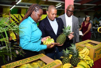 Minister of Agriculture, Fisheries and Mining, Hon. Floyd Green (centre), looks at agricultural produce during day one of Founders’ Weekend at the College of Agriculture, Science and Education (CASE) on Friday (January 26). With the Minister are (from left) President of the Guild of Students, Ashli-Ann Graham and Chief Technical Director in the Ministry, Orville Palmer.