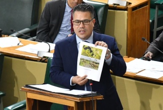 Minister without Portfolio in the Ministry of Economic Growth and Job Creation, Senator the Hon. Matthew Samuda, displays a document while making his contribution to the State of the Nation Debate in the Senate, on January 19.

