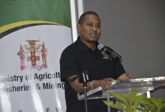 Minister of Agriculture, Fisheries and Mining, Hon. Floyd Green, addresses the Ministry’s New FACE of Food engagement session, which was held at the Grand Palladium Resort in the parish on Thursday, January 18.

 