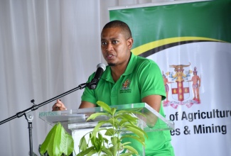 Minister of Agriculture, Fisheries and Mining, Hon. Floyd Green, addresses the Trelawny leg of the New FACE of Food stakeholder session, which was held at Glistening Waters, recently.

