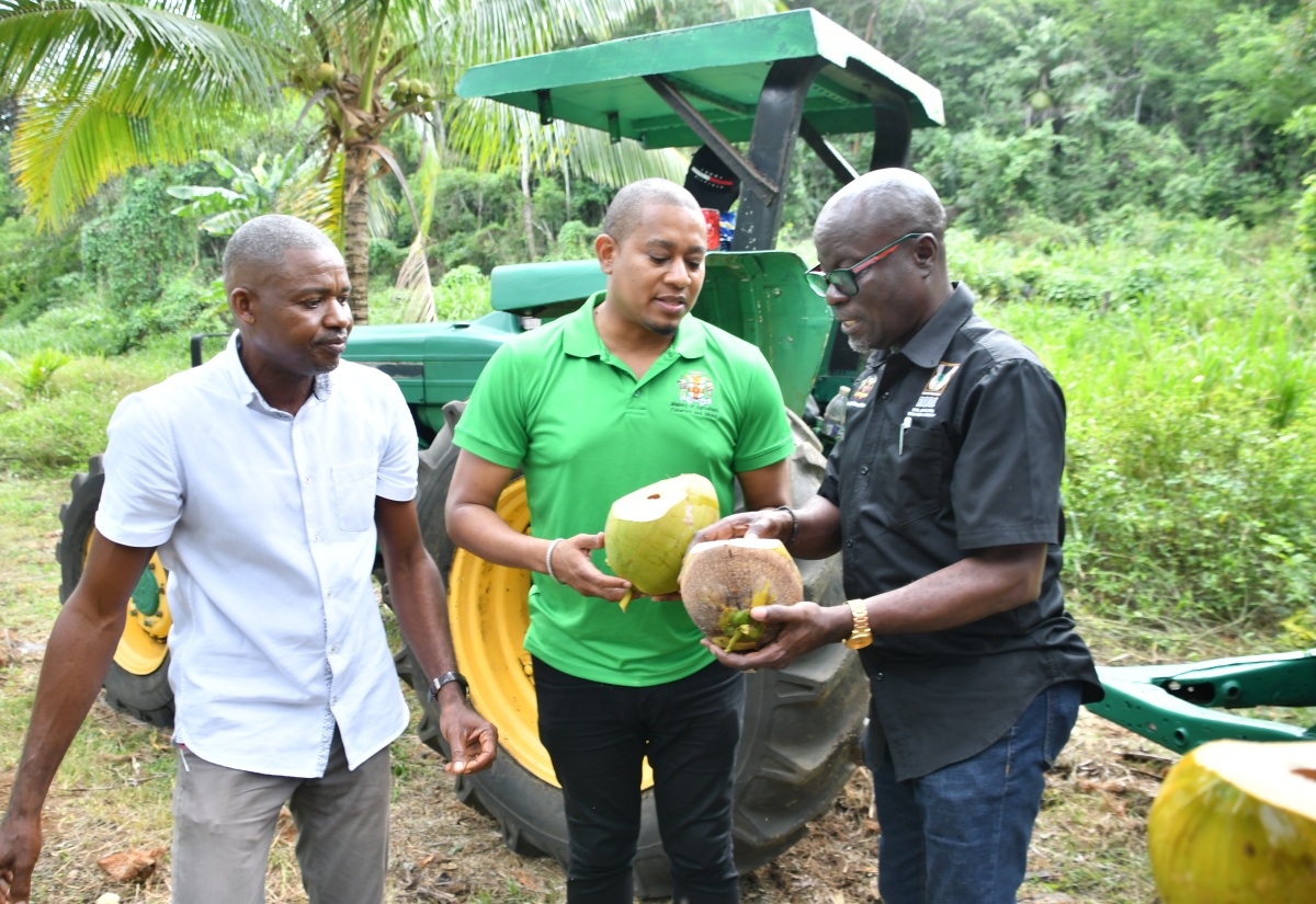 Agriculture Ministry to Establish Storage Facilities Across the Island
