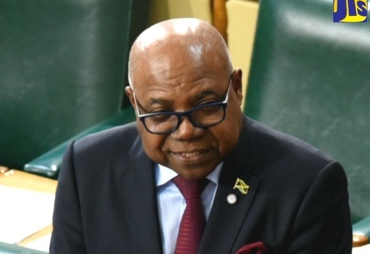 Steady Progress Being Made on Tourism Ministry’s  Multi-Dimensional Impact Assessment Study – Bartlett