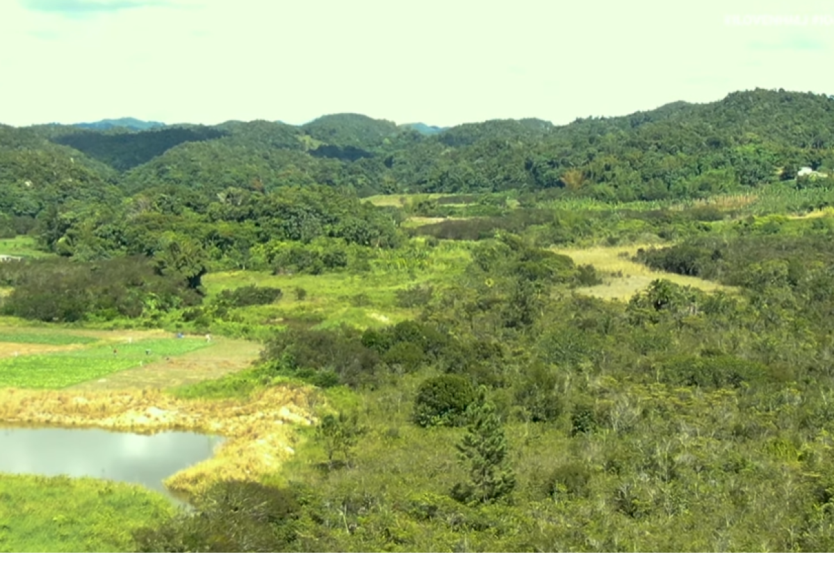 Several Activities Slated to Mark World Wetlands Day in Jamaica