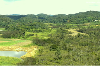 An aerial view of a section of the Mason River Protected Area in Clarendon.

