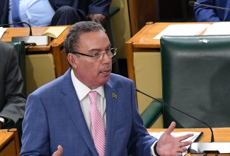 Minister of Science, Energy, Telecommunications and Transport, Hon. Daryl Vaz, making a statement in the House of Representatives on January 30.

