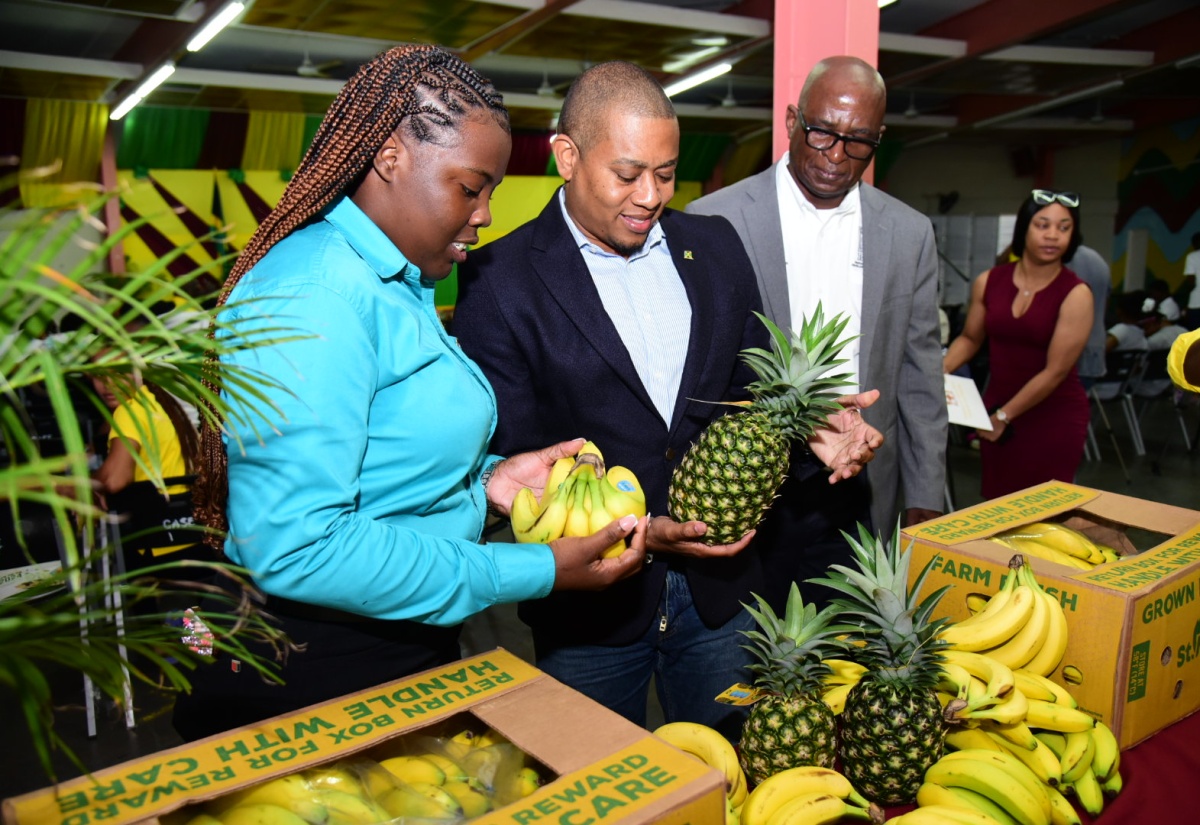 Team Assembled to Advance Work on Jamaica Hope Cattle Genetics