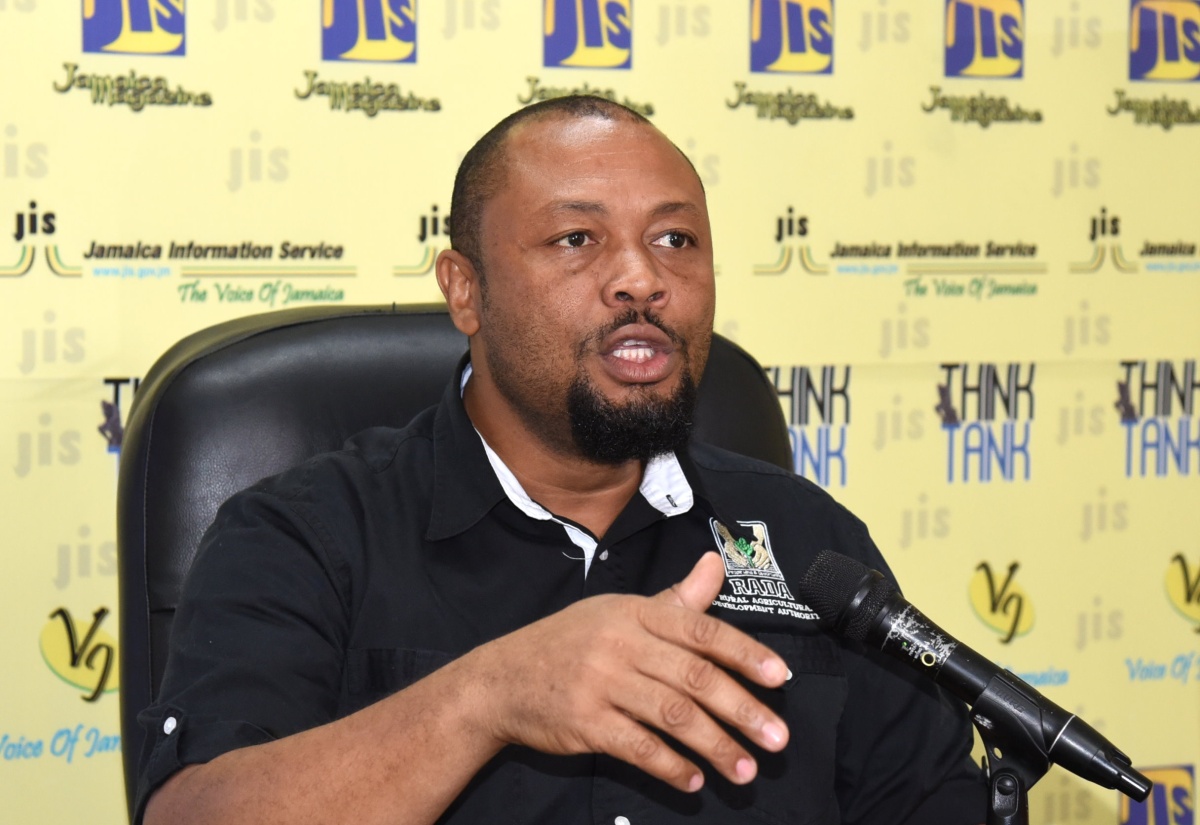 Senior Programmer at RADA, Hartnell Campbell, speaks at a recent JIS Think Tank, at the agency’s Head Office at 58A Half-Way Tree Road, in Kingston.

