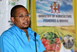 Ministry of Agriculture, Fisheries and Mining, Hon. Floyd Green, makes a presentation during a stakeholder engagement session for the Ministry’s ‘New FACE of Food’ campaign. The session, which was the first such to be held this year, took place in Old Harbour, St. Catherine, on Wednesday (January 10).


