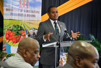 Minister of Agriculture, Fisheries and Mining, Hon. Floyd Green, speaking during a press briefing at the Ministry’s offices in Kingston on Wednesday (January 31). Seated (at left) is State Minister in the Ministry, Hon. Franklyn Witter.

