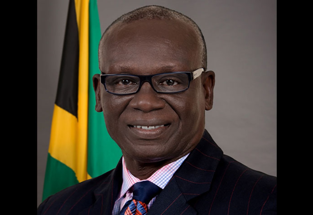 Minister of Local Government and Community Development, Hon. Desmond McKenzie.