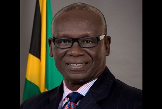 Minister of Local Government and Community Development, Hon. Desmond McKenzie.
