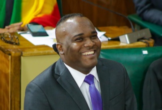 Government Senator, Abka Fitz-Henley, addresses the Senate on February 2. 

