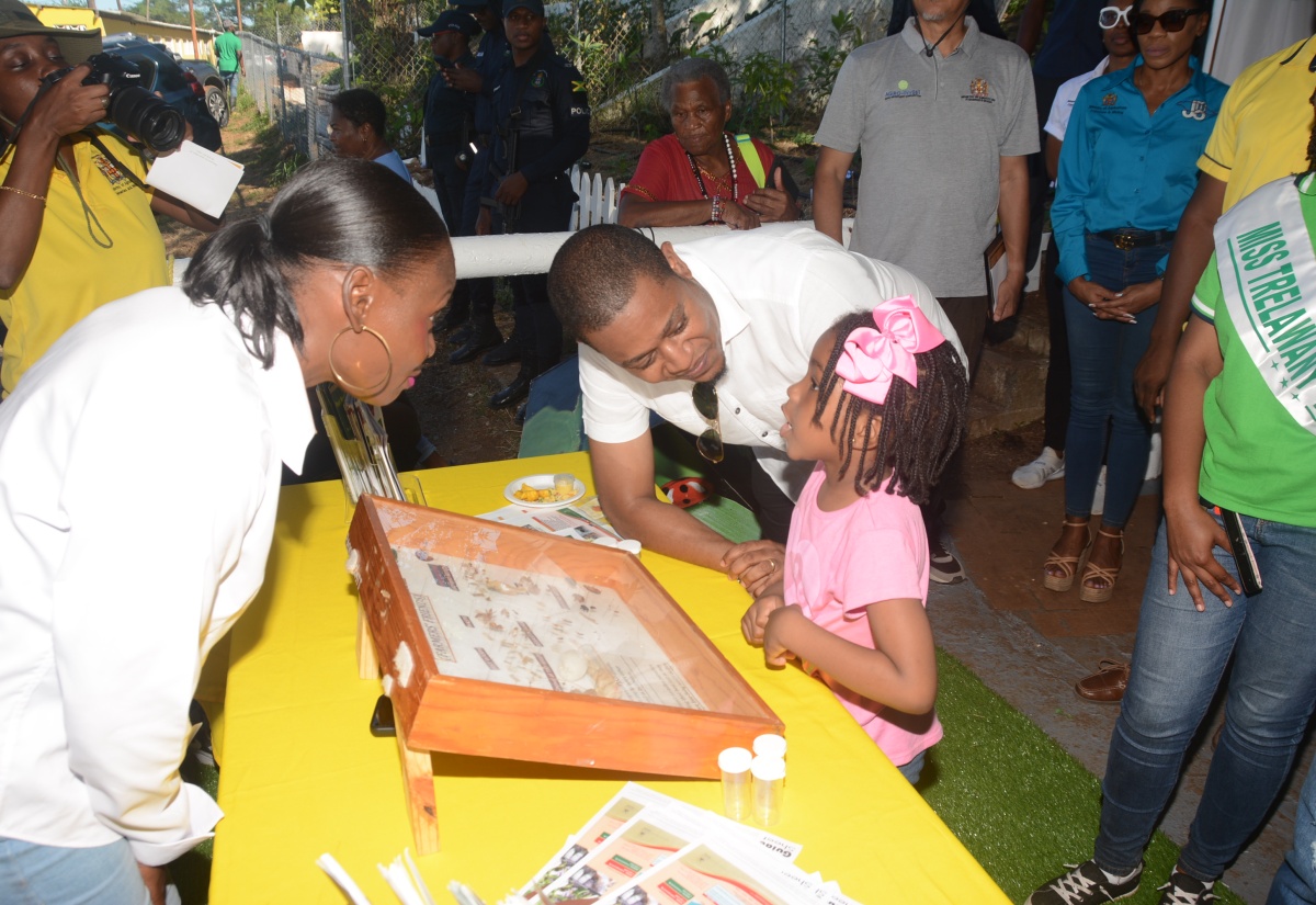 Farm Roads in Trelawny to Be Rehabilitated