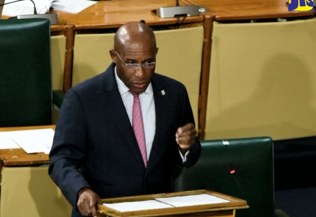 Deputy Leader of Government Business in the Senate and Minister of Industry, Investment and Commerce, Senator Aubyn Hill, addressing the Senate on February 9.