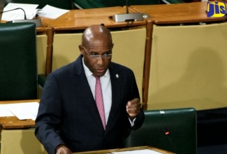 Deputy Leader of Government Business in the Senate and Minister of Industry, Investment and Commerce, Senator Aubyn Hill, addressing the Senate on February 9.

