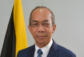 Minister of National Security, Hon. Dr. Horace Chang. 

