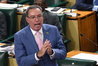 Minister of Science, Energy, Telecommunications and Transport, Hon. Daryl Vaz, addressing the House of Representatives on Tuesday (January 30).

