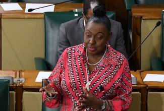 Minister of Culture, Gender, Entertainment and Sport, Hon. Olivia Grange, speaks in the House of Representatives, on Tuesday (February 6).

