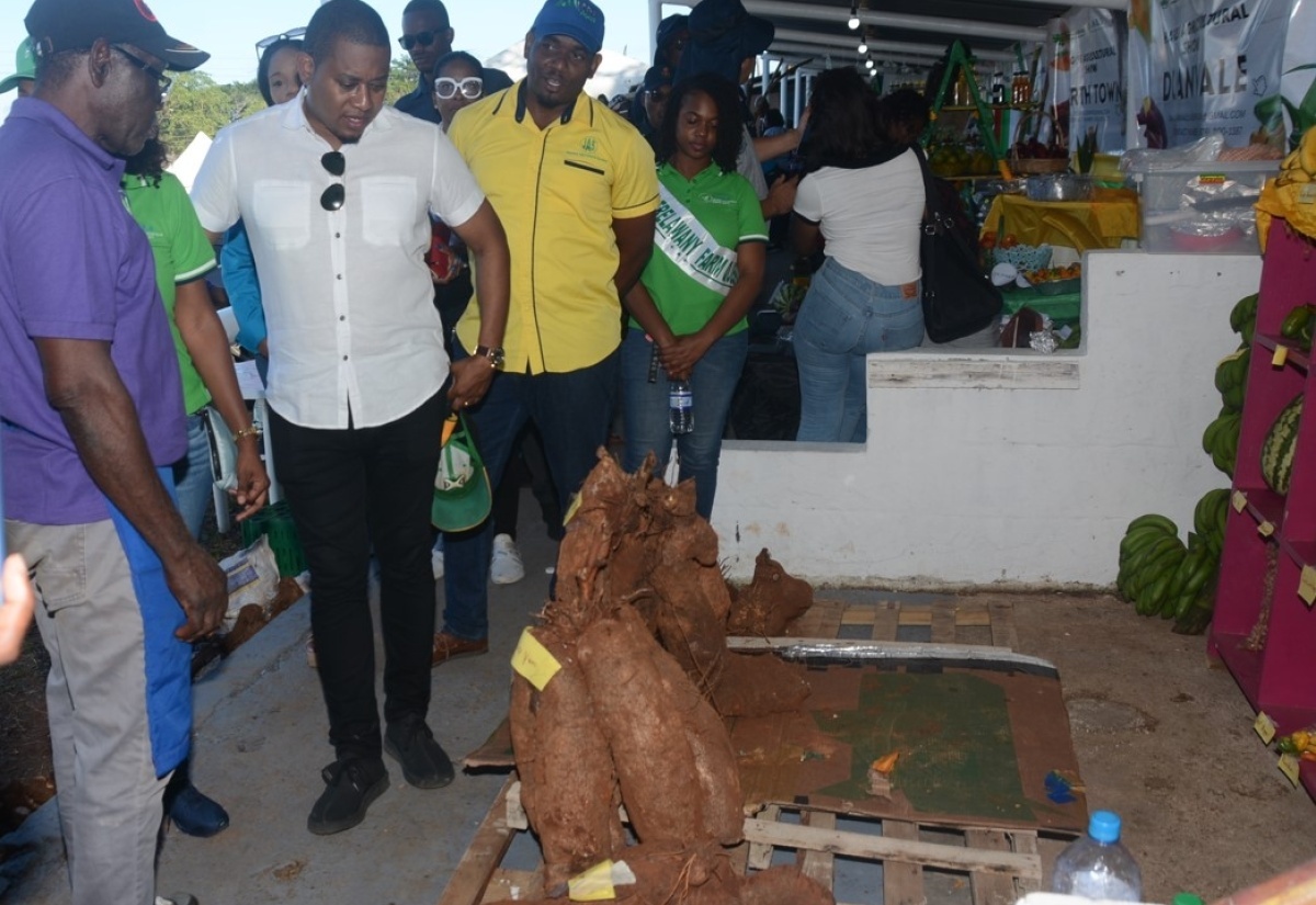 Trelawny’s Agriculture a Priority – Minister Green