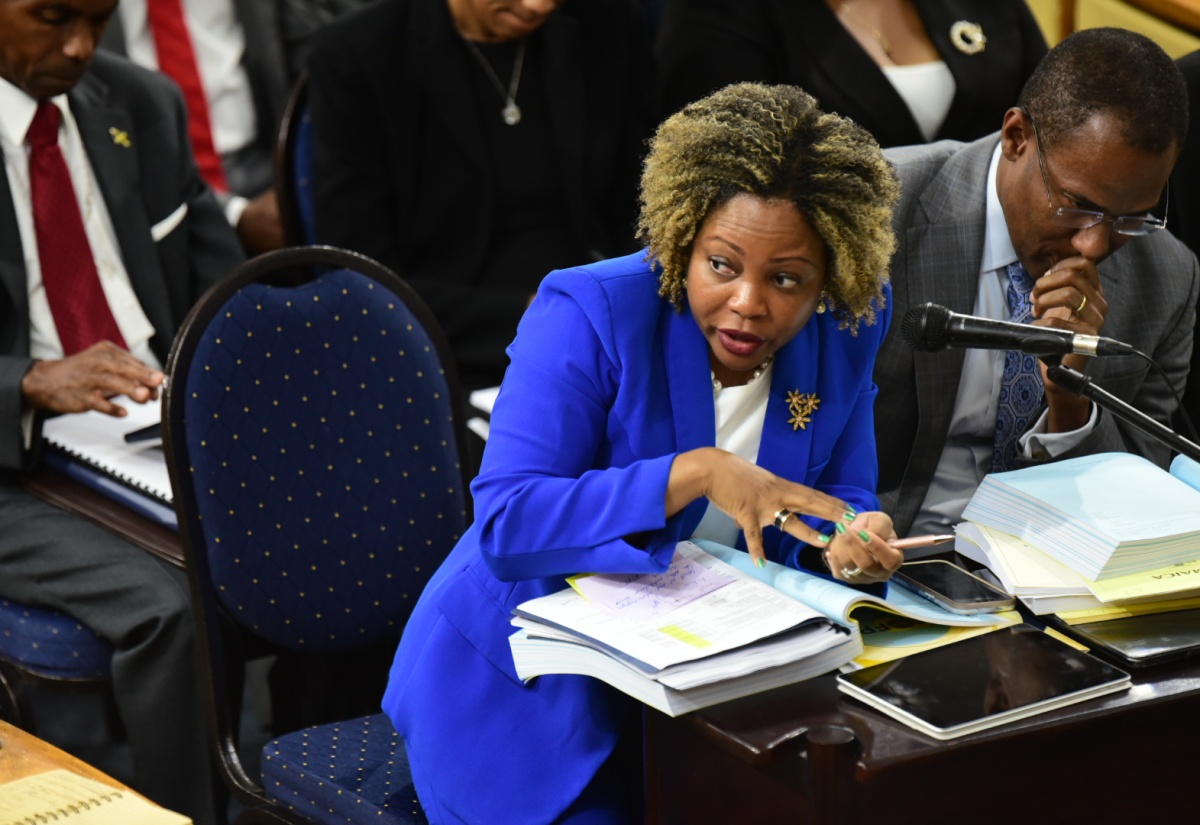 Government Continues Consultations on Data Protection Act