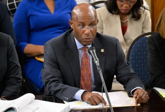 Minister of Industry, Investment and Commerce, Senator the Hon. Aubyn Hill, addresses the Standing Finance Committee in the House of Representatives on March 6.

