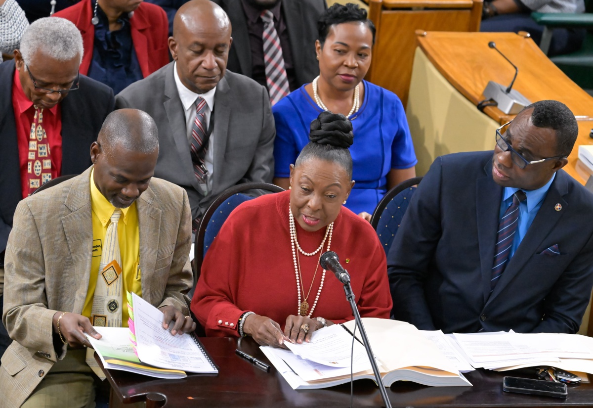Minister of Culture, Gender, Entertainment and Sport, Hon. Olivia Grange (front row, centre), addresses Wednesday’s (March 6) meeting of the Standing Finance Committee of the House of Representatives, whose members are reviewing the 2024/25 Estimates of Expenditure. She is accompanied by (from left) Permanent Secretary, Denzil Thorpe, and Supernumerary Permanent Secretary, Dean-Roy Bernard.

