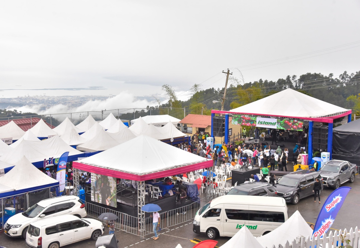 Ministry of Tourism to Expand Coffee Festival to Other Parishes