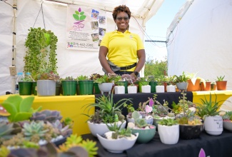 Chief Designer at ZenDish Gardens, Andrine Cover, displays her products at the Made in Manchester Expo held at Scotiabank, Mandeville, Manchester today (March 31). The Made in Manchester Expo was designed to assist micro and small business women owners in the parish to raise their visibility, build brand recognition and grow their businesses.

 