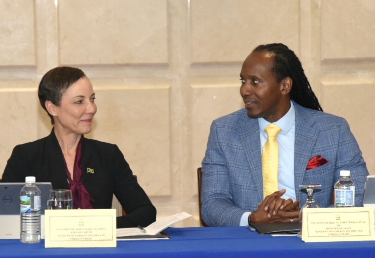 State Minister Outlines Significant Contribution of Diaspora