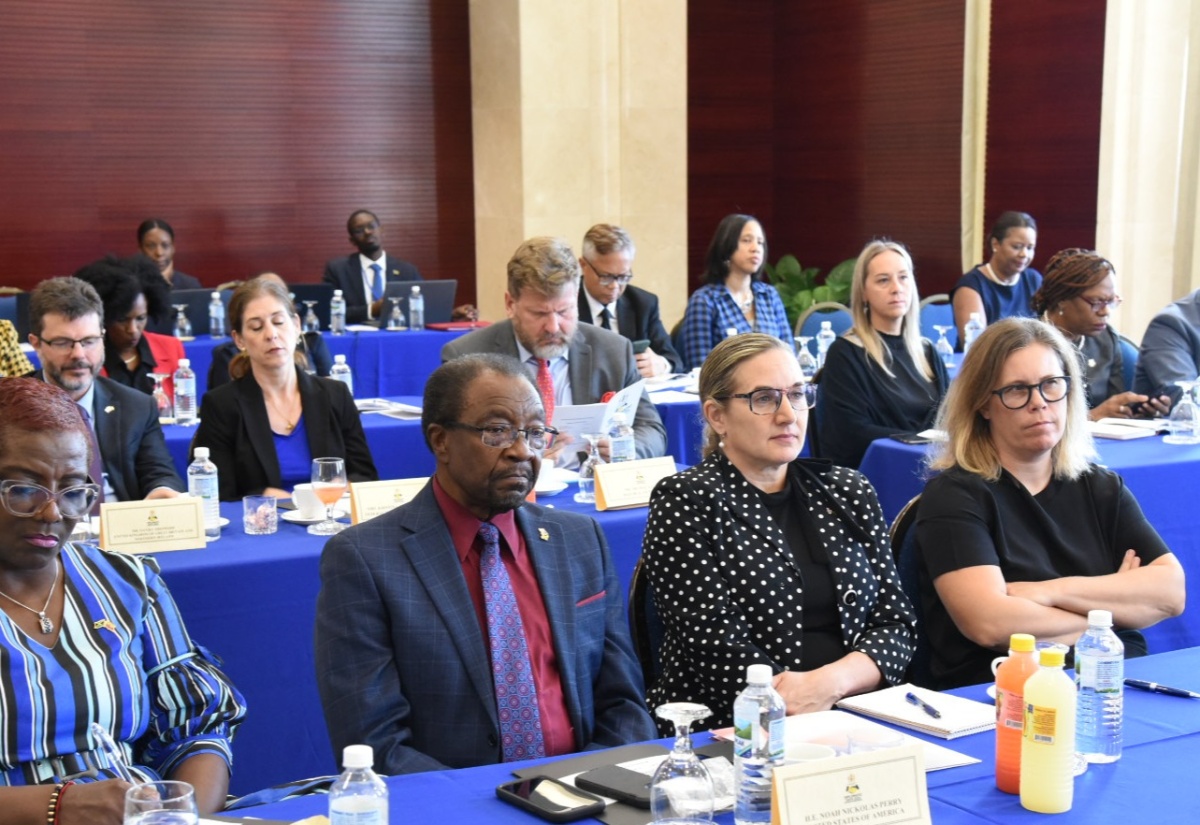 State Minister Outlines Significant Contribution of Diaspora
