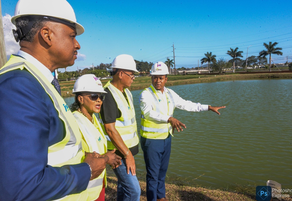 Fish Hatchery to Be Constructed at Twickenham Park