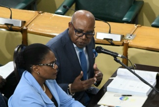 Minister of Tourism, Hon. Edmund Bartlett (right), addresses the Standing Finance Committee of the House of Representatives, today (March 5), at Gordon House. At left is Permanent Secretary in the Ministry, Jennifer Griffith.

