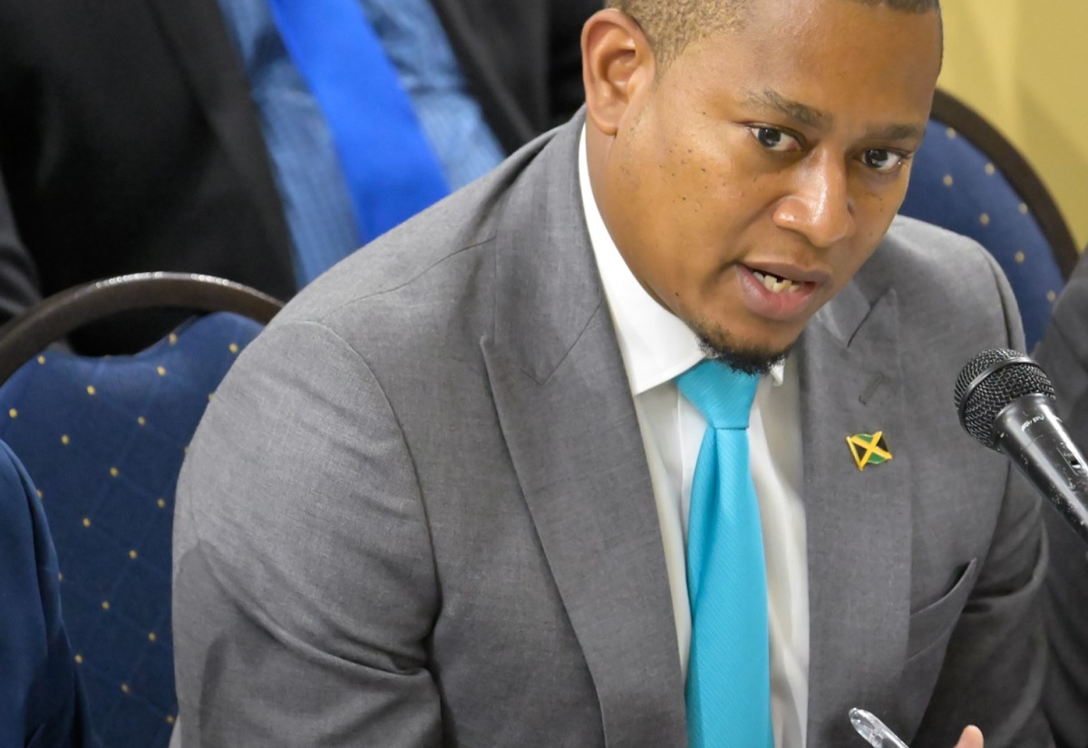 Minister of Agriculture, Fisheries and Mining, Hon. Floyd Green, addresses the sitting of the Standing Finance Committee of the House of Representatives on Wednesday (March 6).

