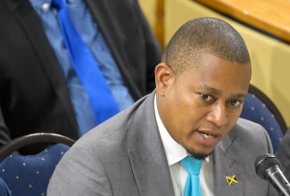 Minister of Agriculture, Fisheries and Mining, Hon. Floyd Green, addresses the sitting of the Standing Finance Committee of the House of Representatives on Wednesday (March 6).