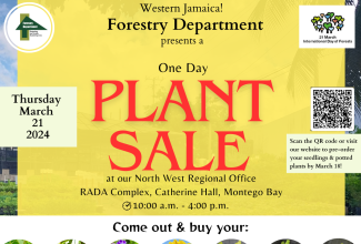 Flyer for the one-day plant sale being staged by the Forestry Department at the Rural Agricultural Development Authority (RADA) Complex in Catherine Hall, St. James, on Thursday (March 21), to mark International Day of Forests.

