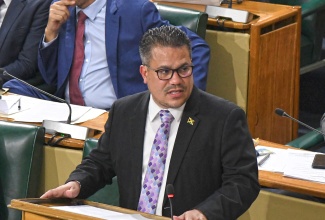 Minister without Portfolio in the Ministry of Economic Growth and Job Creation, Senator the Hon. Matthew Samuda.